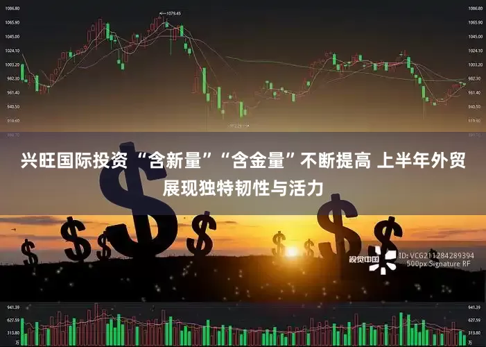 兴旺国际投资 “含新量”“含金量”不断提高 上半年外贸展现独特韧性与活力