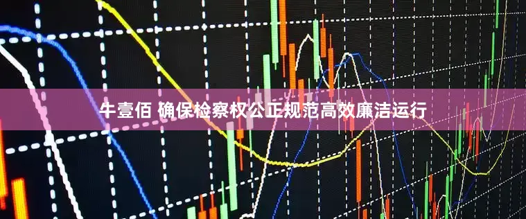 牛壹佰 确保检察权公正规范高效廉洁运行