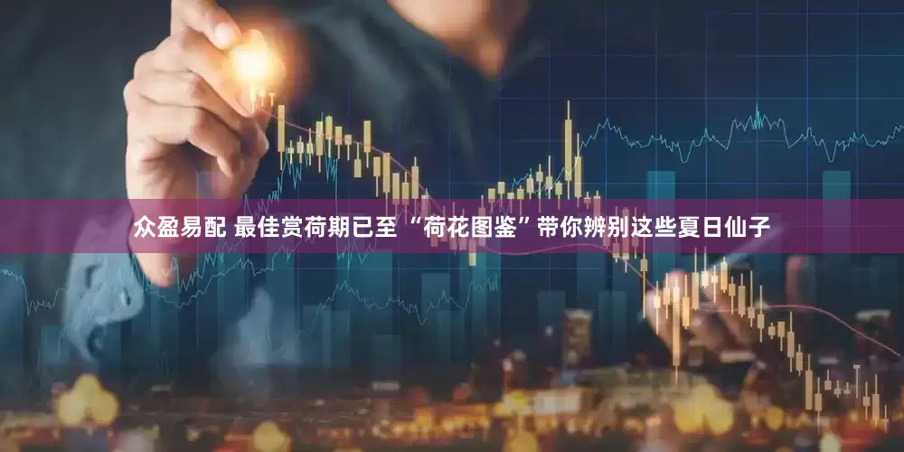 众盈易配 最佳赏荷期已至 “荷花图鉴”带你辨别这些夏日仙子