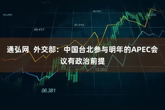 通弘网  外交部：中国台北参与明年的APEC会议有政治前提